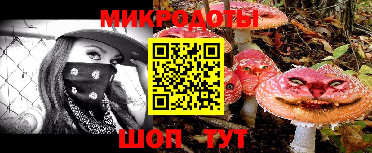 закладки  Вход с VPN  Котельники  Псилоцибиновые грибы мухоморы 